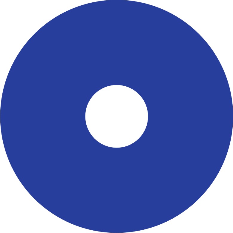 Speichenschutz Nr. 101