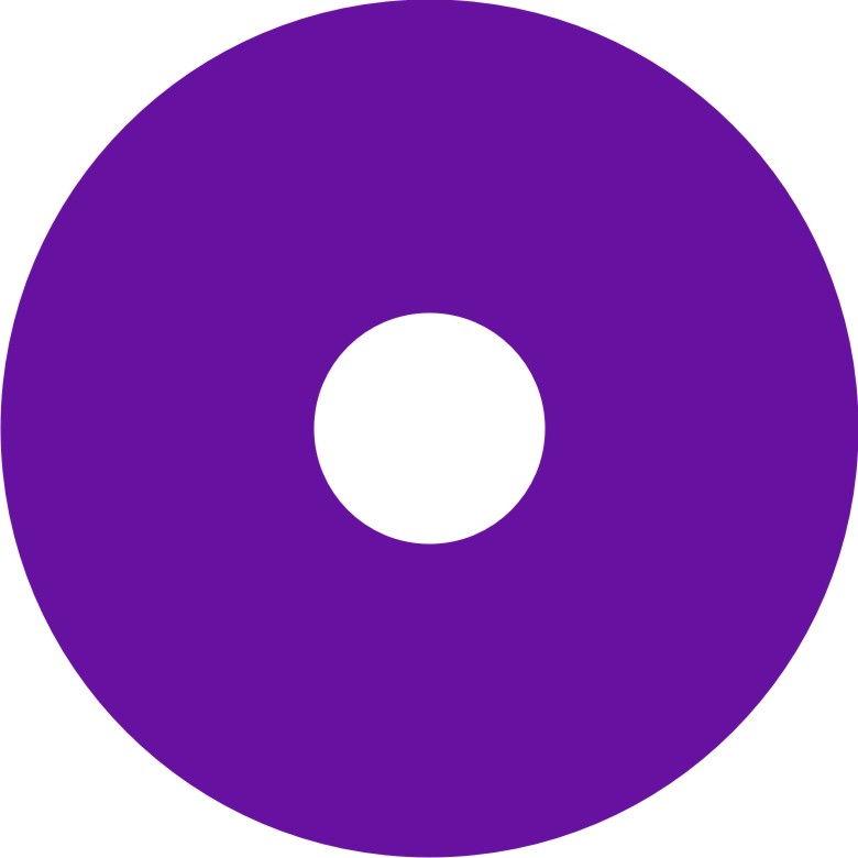 Speichenschutz Nr. 102