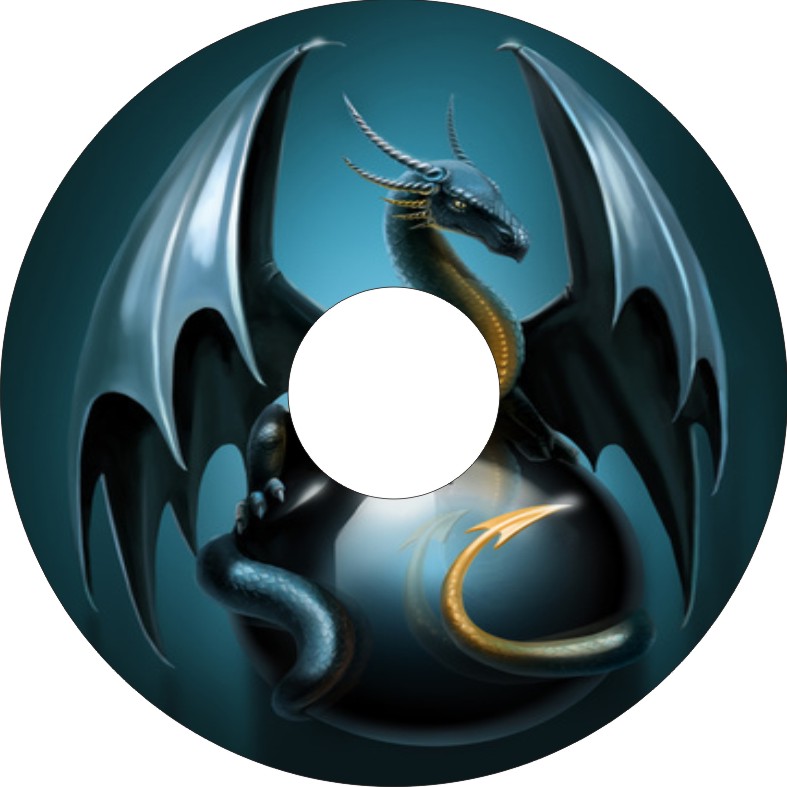 Speichenschutz Nr. 3016