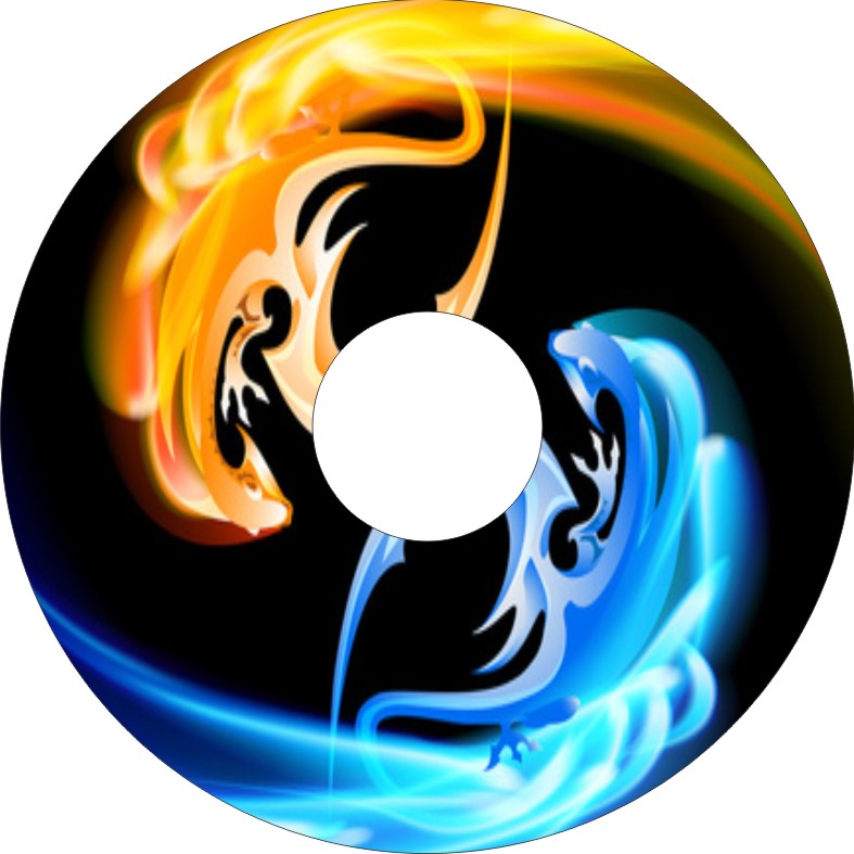 Speichenschutz Nr. 3017