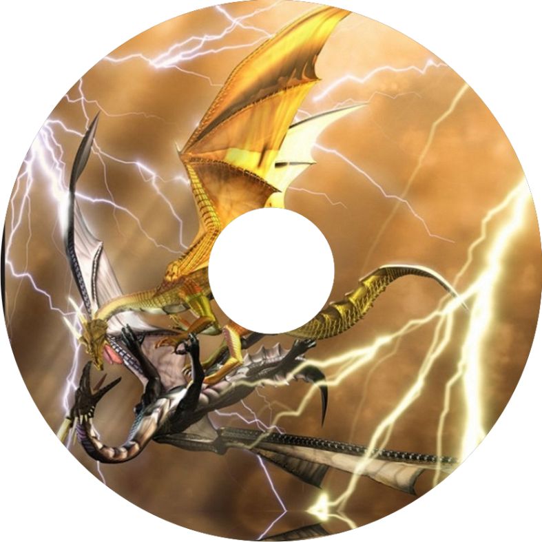 Speichenschutz Nr. 3018