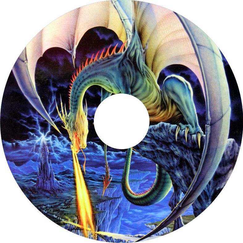 Speichenschutz Nr. 3019