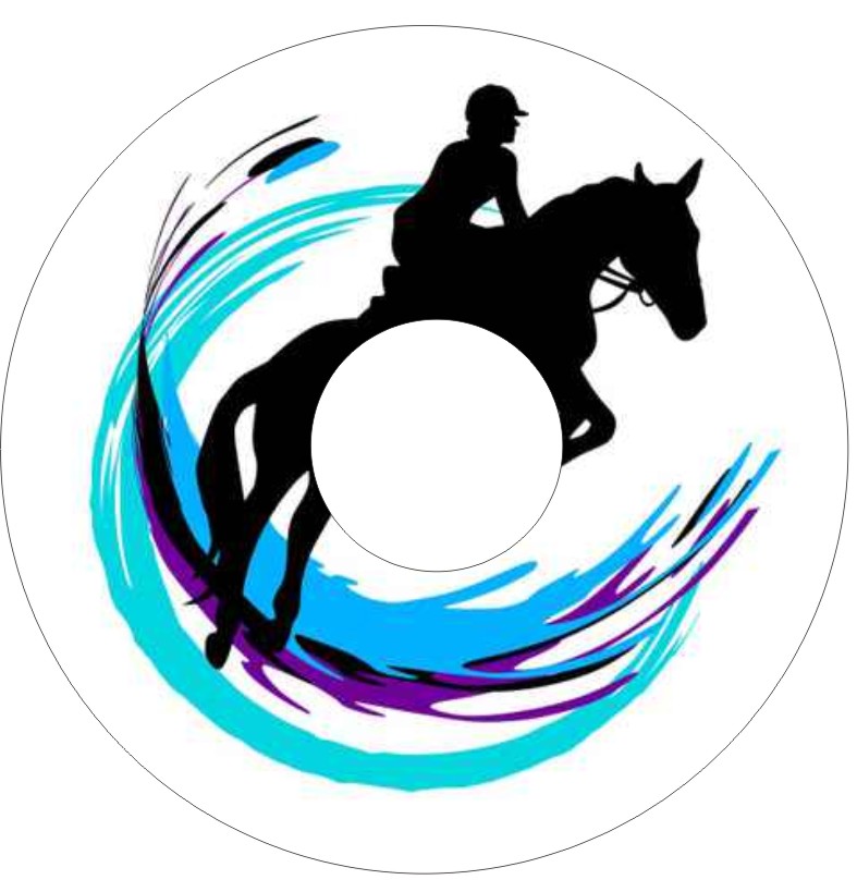 Speichenschutz Nr. 3029