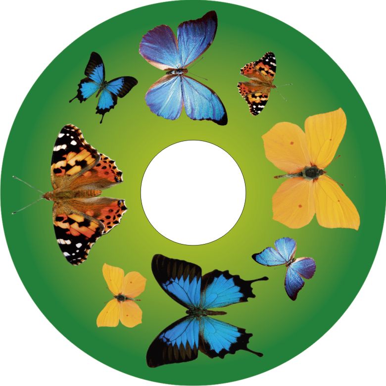 Speichenschutz Nr. 3030