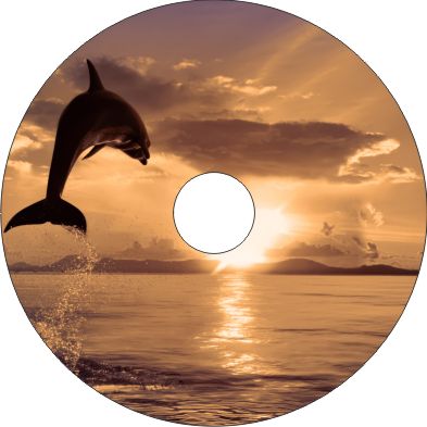 Speichenschutz Nr. 3031