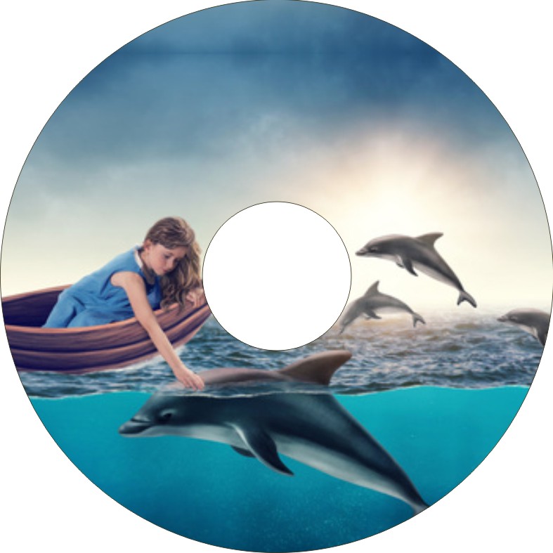 Speichenschutz Nr. 3033