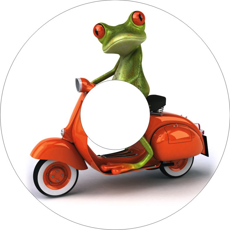 Speichenschutz Nr. 3043