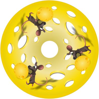 Speichenschutz Nr. 3048