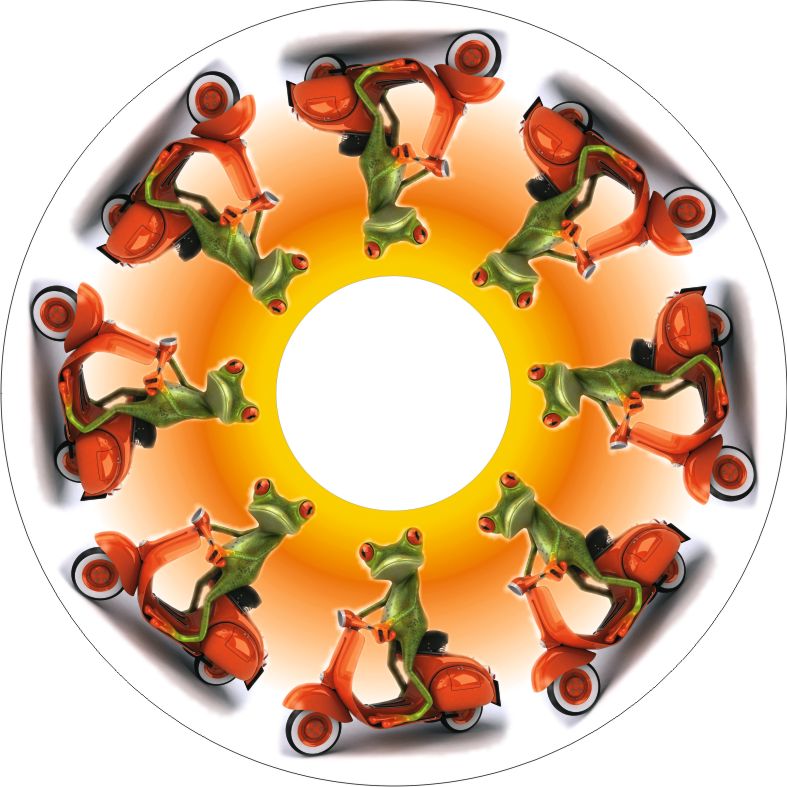 Speichenschutz Nr. 3054