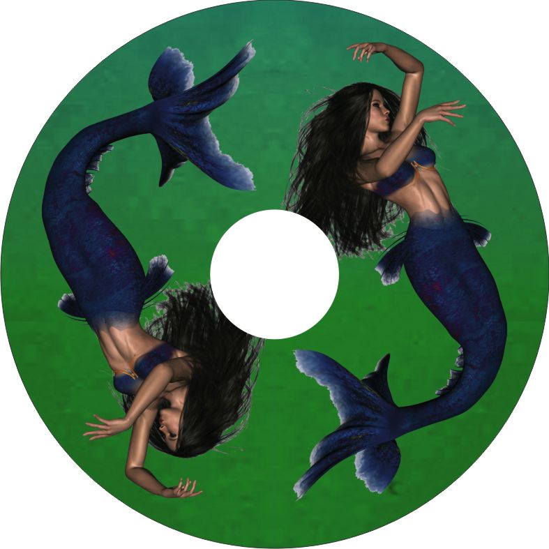 Speichenschutz Nr. 3218