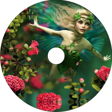 Speichenschutz Nr. 3220