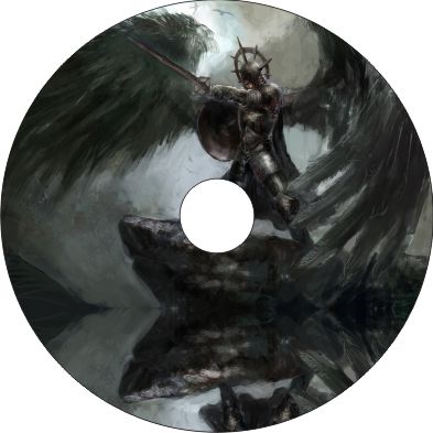 Speichenschutz Nr. 3229