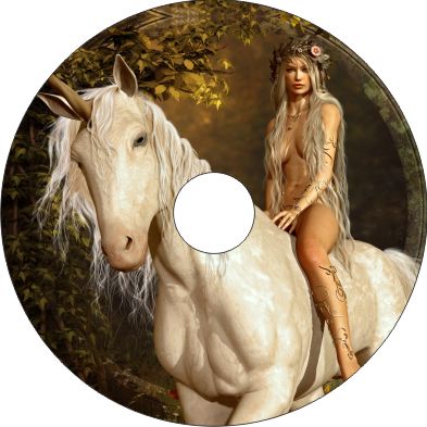 Speichenschutz Nr. 3234