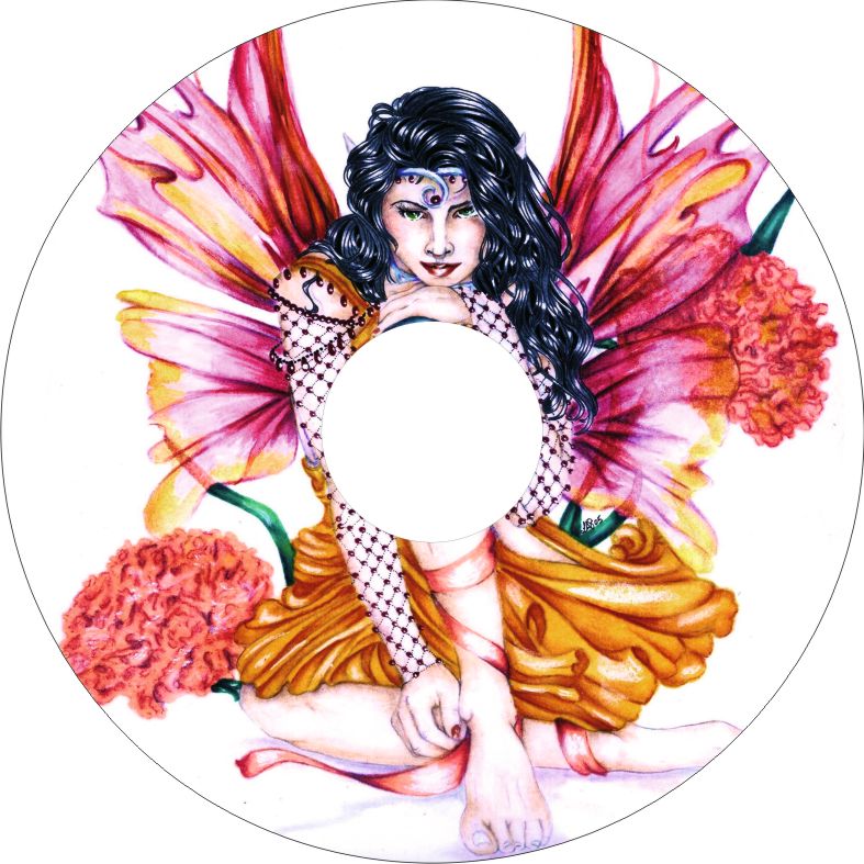 Speichenschutz Nr. 3235