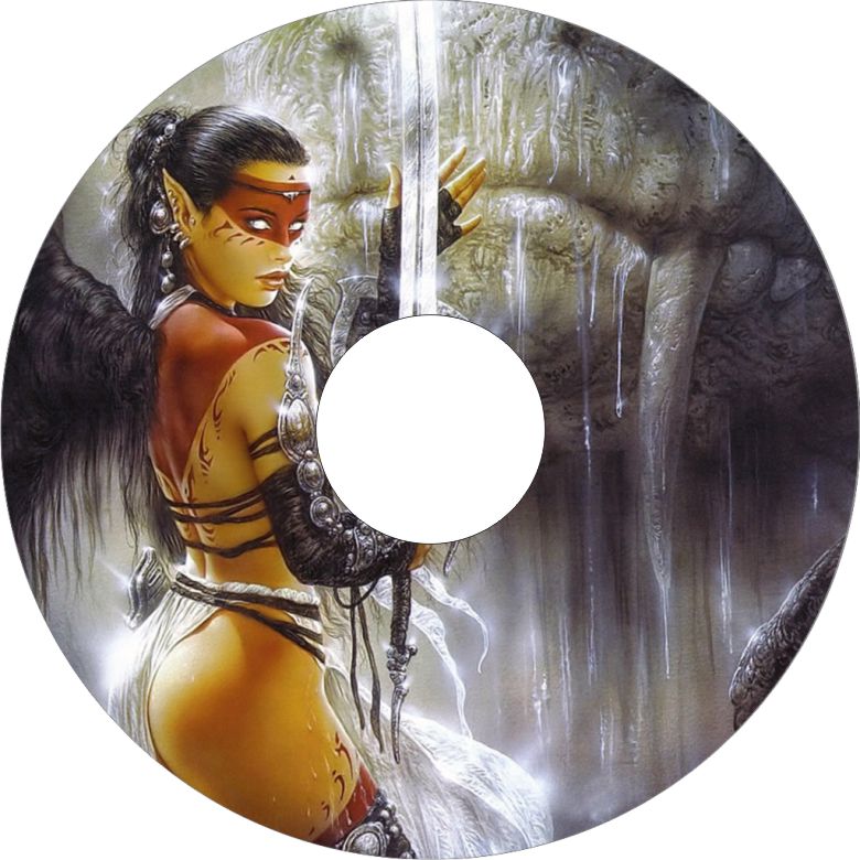 Speichenschutz Nr. 3236