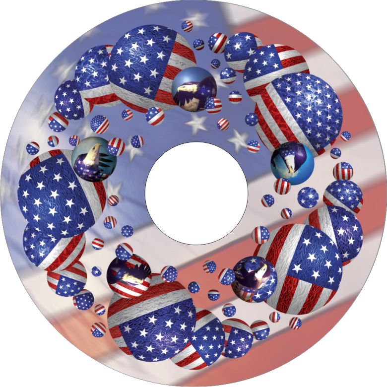 Speichenschutz Nr. 3249