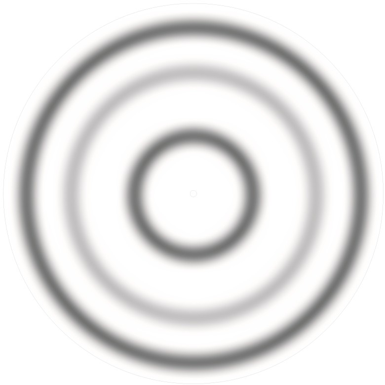 Speichenschutz Nr. 3259