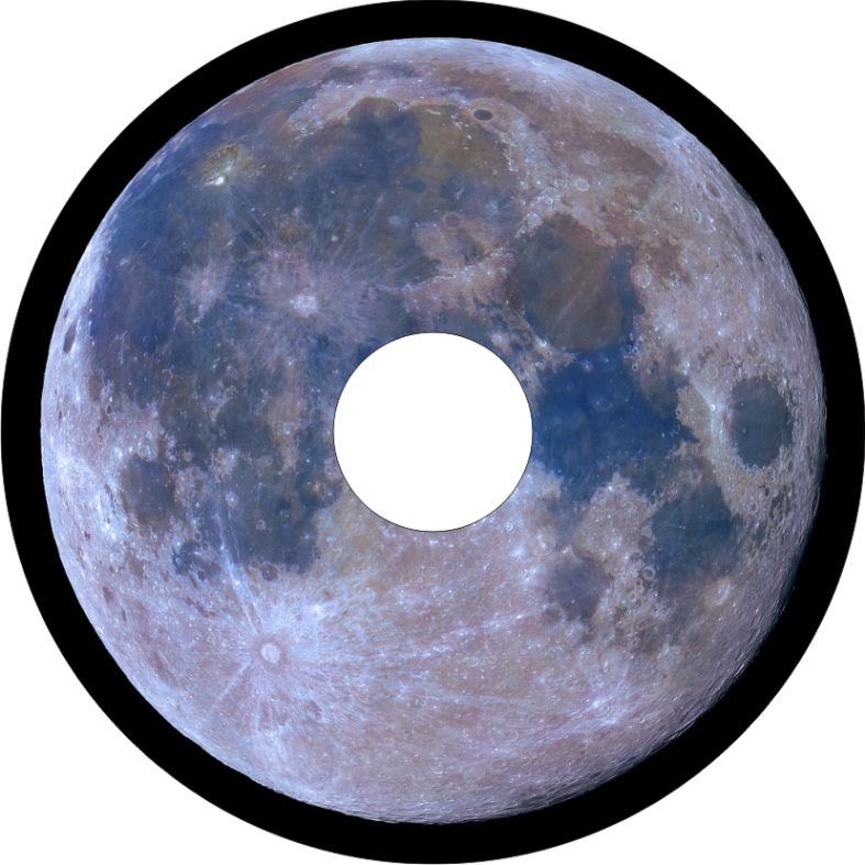 Speichenschutz Nr. 3263