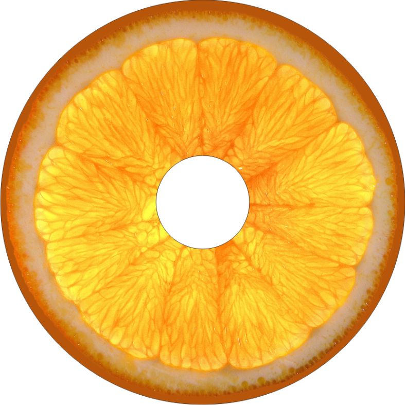 Speichenschutz Nr. 3267