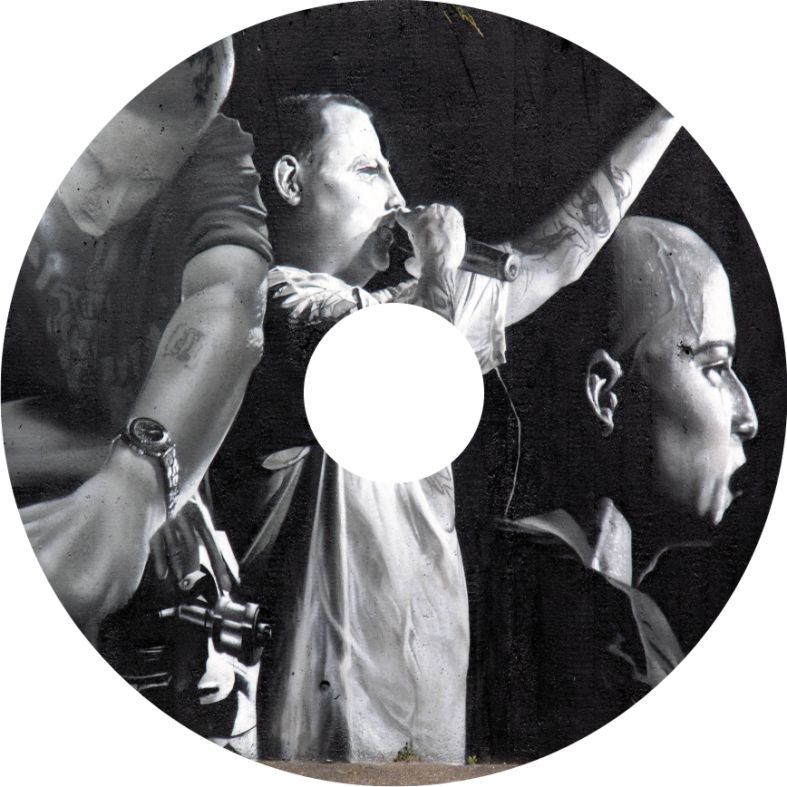 Speichenschutz Nr. 3281