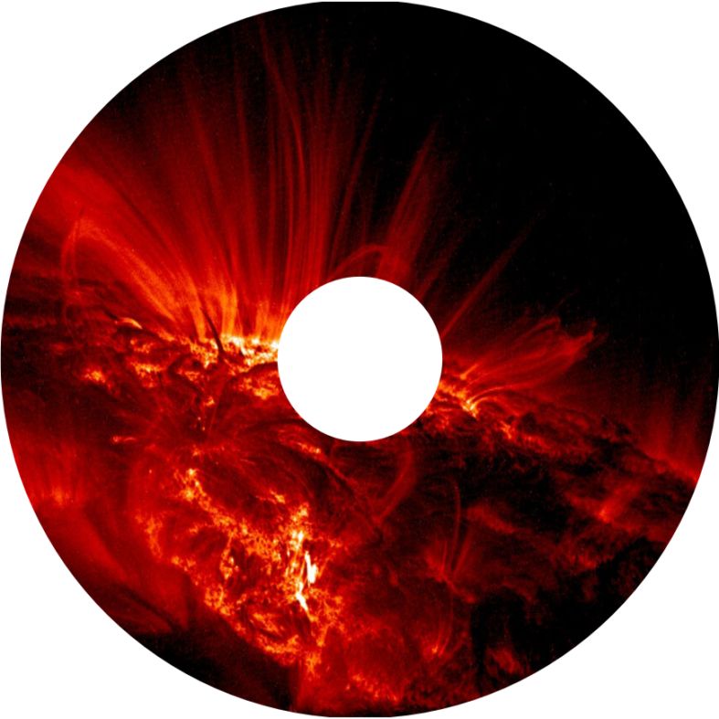 Speichenschutz Nr. 3291