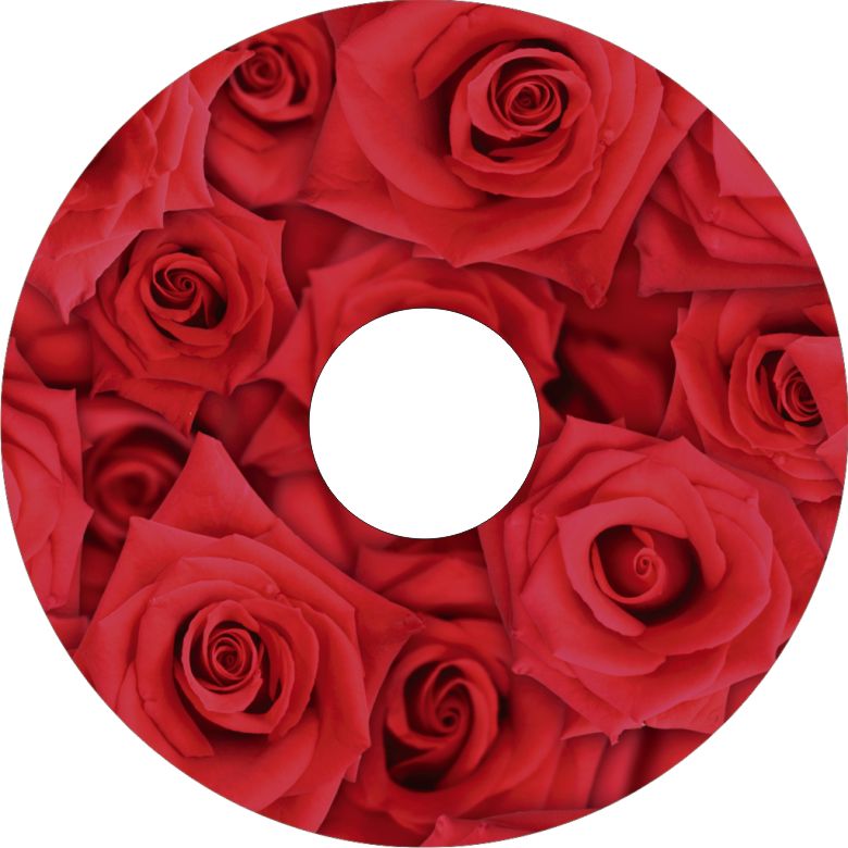 Speichenschutz Nr. 3292