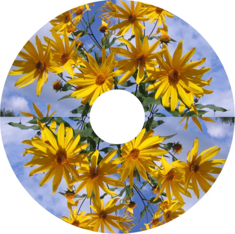 Speichenschutz Nr. 3293