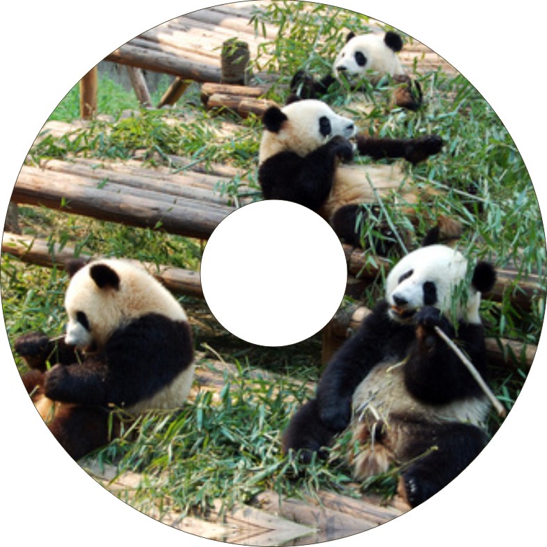 Speichenschutz Nr. 3311