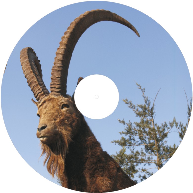 Speichenschutz Nr. 3312