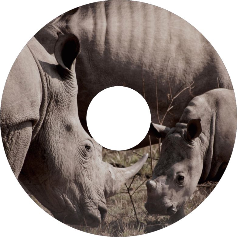 Speichenschutz Nr. 3313