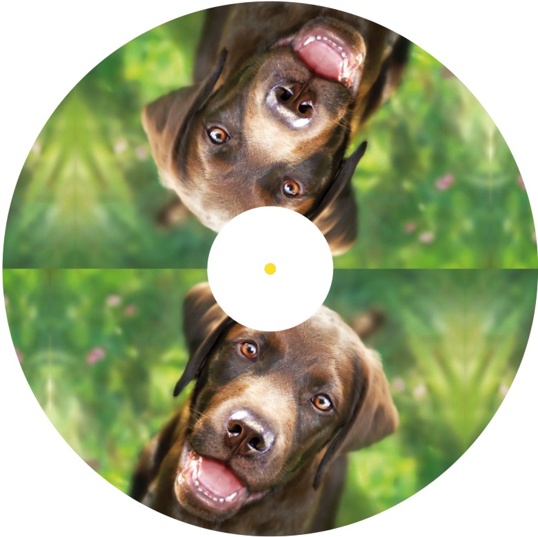 Speichenschutz Nr. 3314