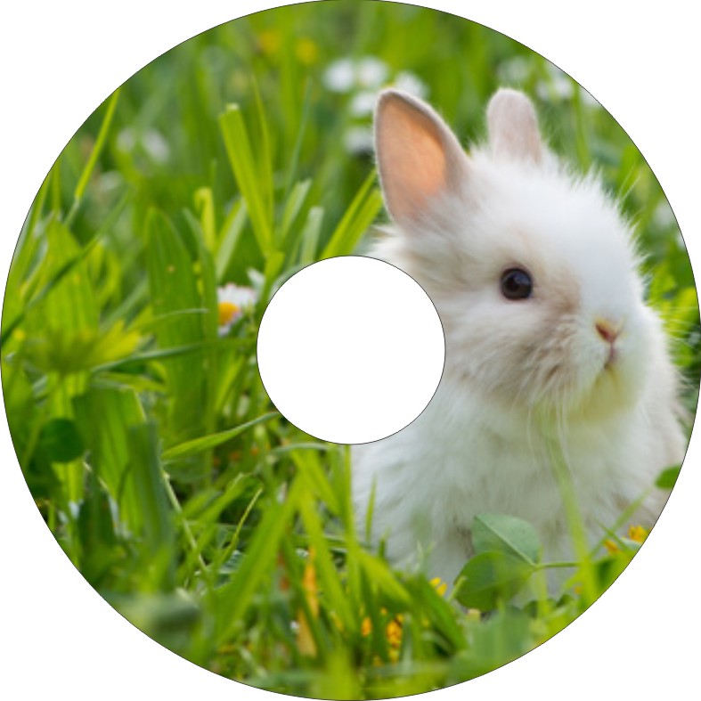 Speichenschutz Nr. 3315