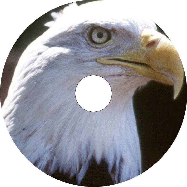 Speichenschutz Nr. 3316