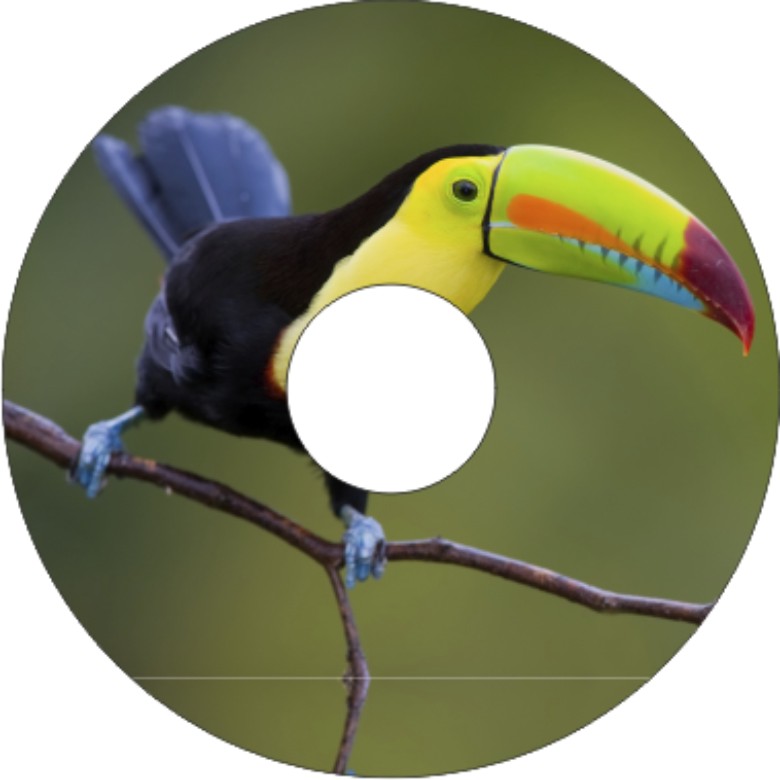 Speichenschutz Nr. 3318