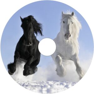 Speichenschutz Nr. 3319