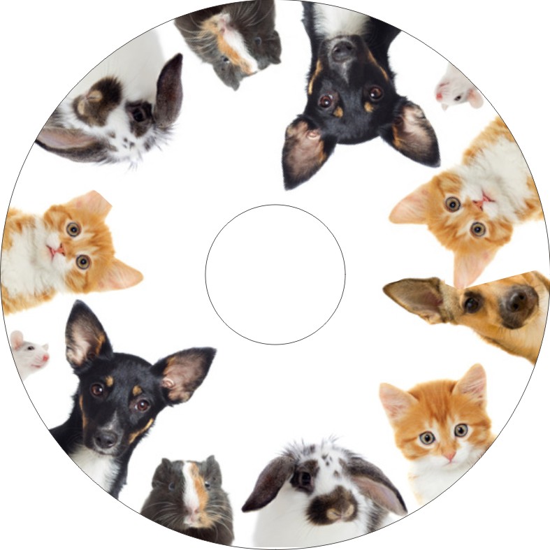 Speichenschutz Nr. 3321