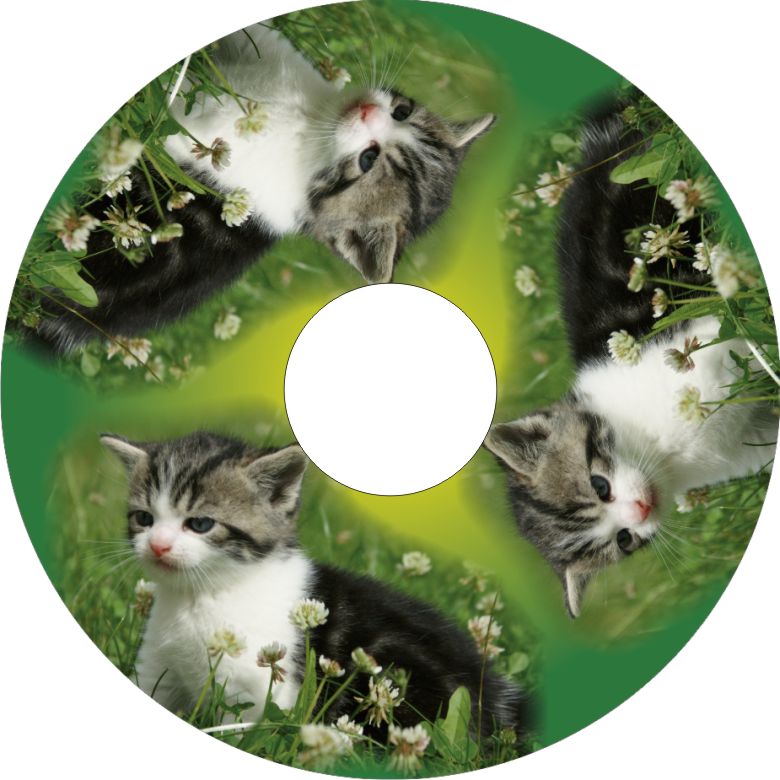 Speichenschutz Nr. 3322