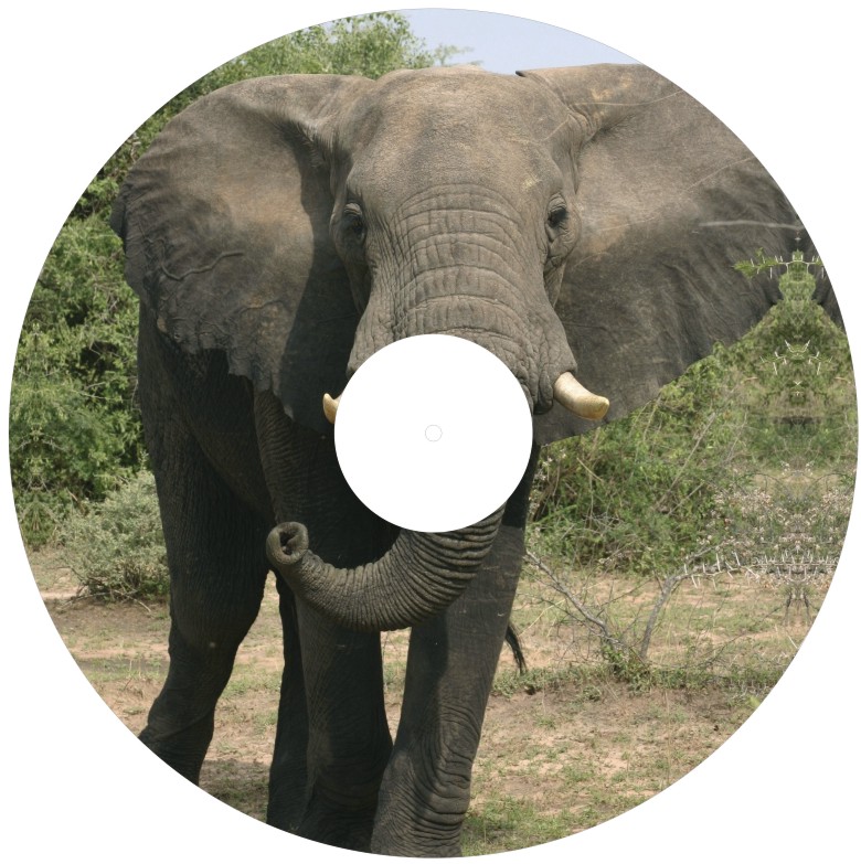 Speichenschutz Nr. 3323