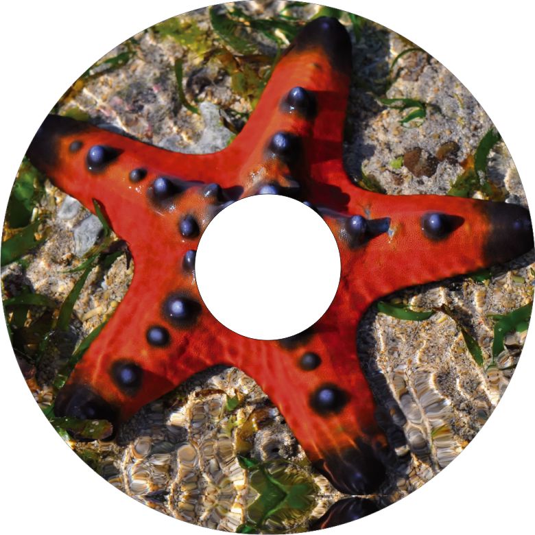 Speichenschutz Nr. 3324