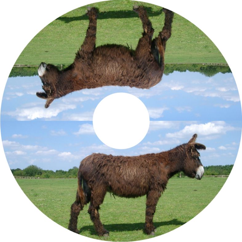 Speichenschutz Nr. 3325