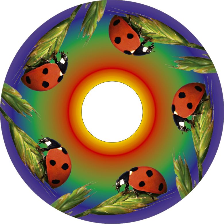 Speichenschutz Nr. 3326