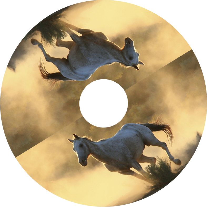 Speichenschutz Nr. 3327