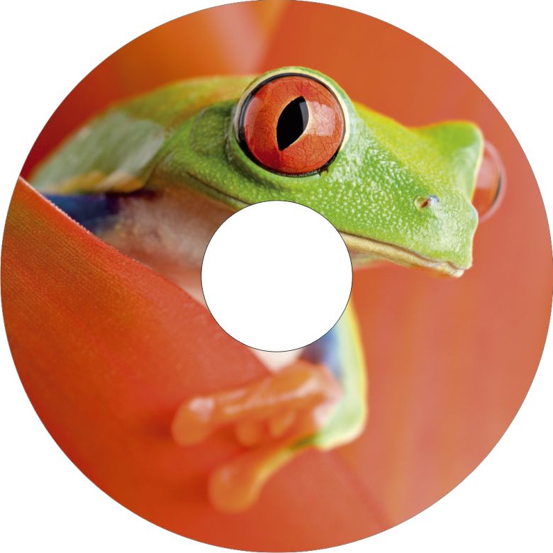 Speichenschutz Nr. 3328