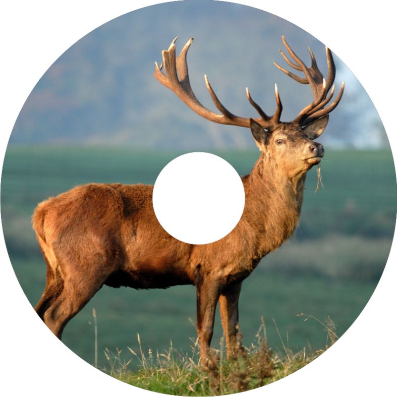 Speichenschutz Nr. 3330