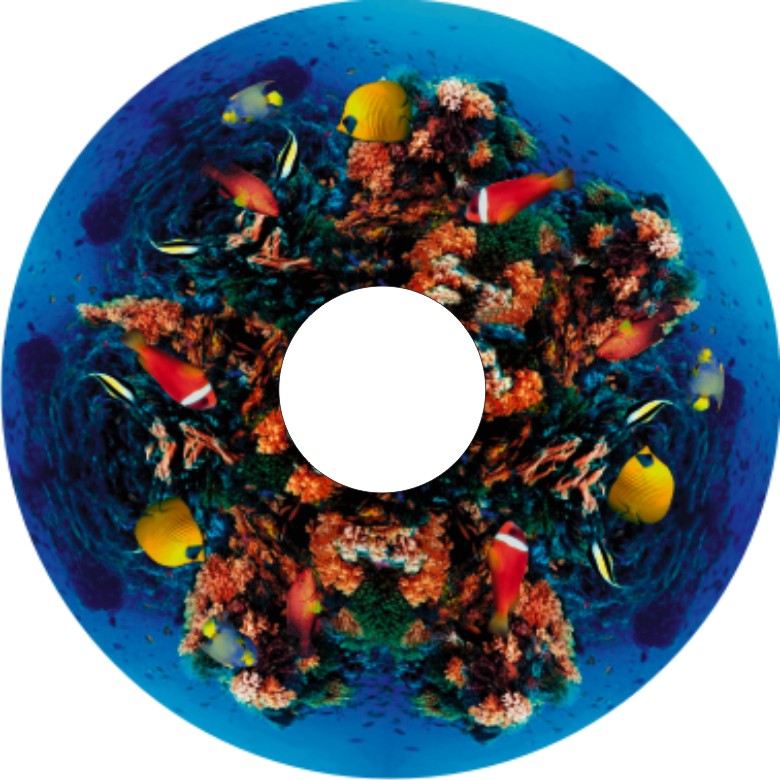 Speichenschutz Nr. 3331