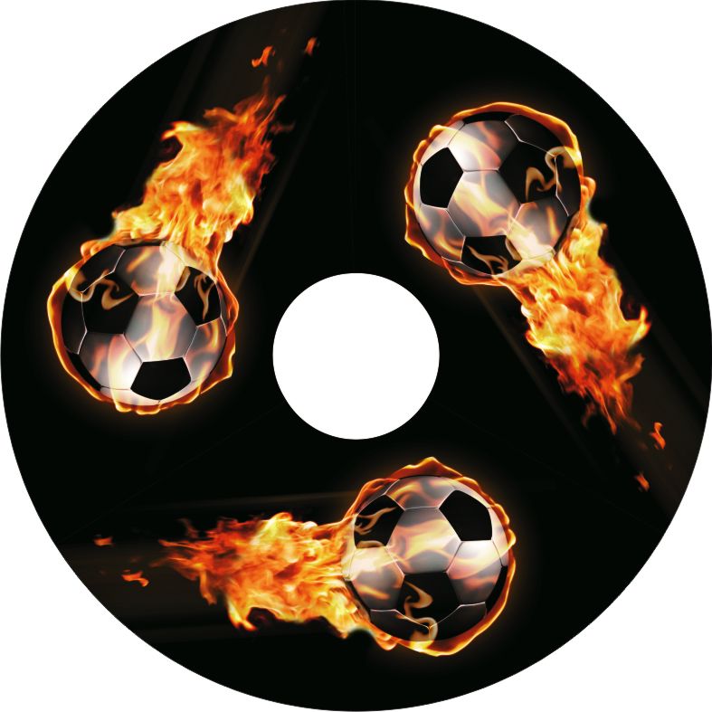 Speichenschutz Nr. 3510