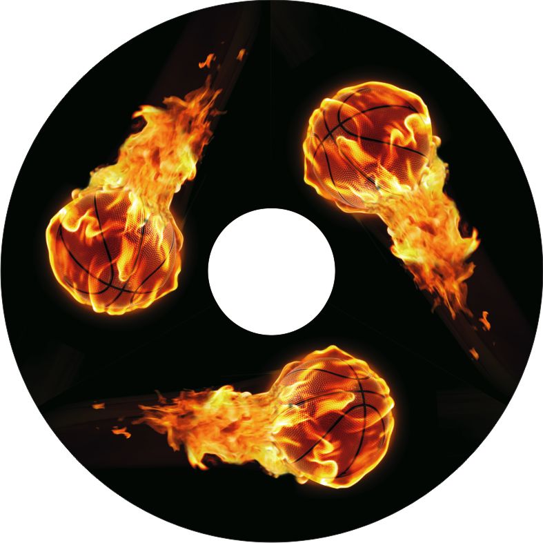 Speichenschutz Nr. 3511