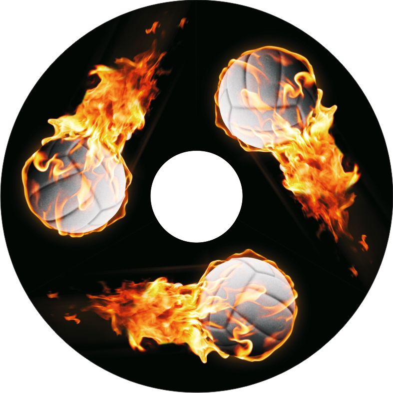 Speichenschutz Nr. 3512