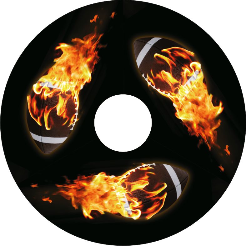 Speichenschutz Nr. 3513