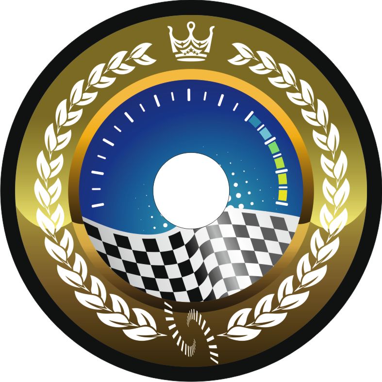 Speichenschutz Nr. 3533